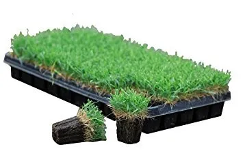 sod plugs