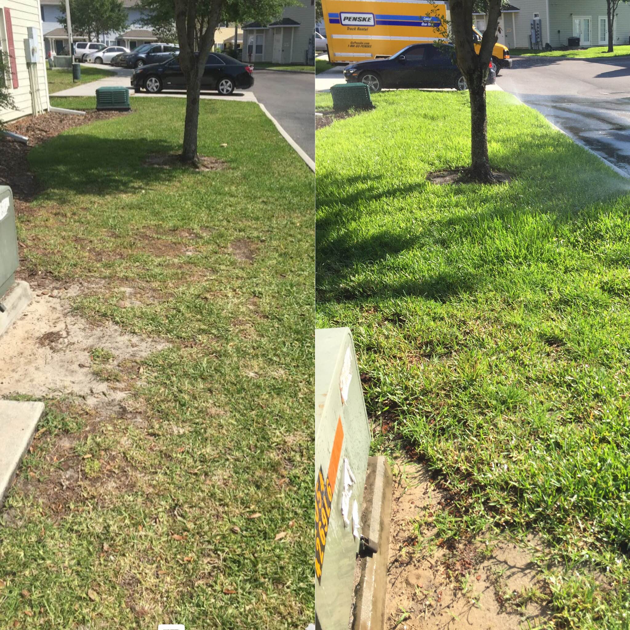 60 Days Lawn Treatment Results | The 