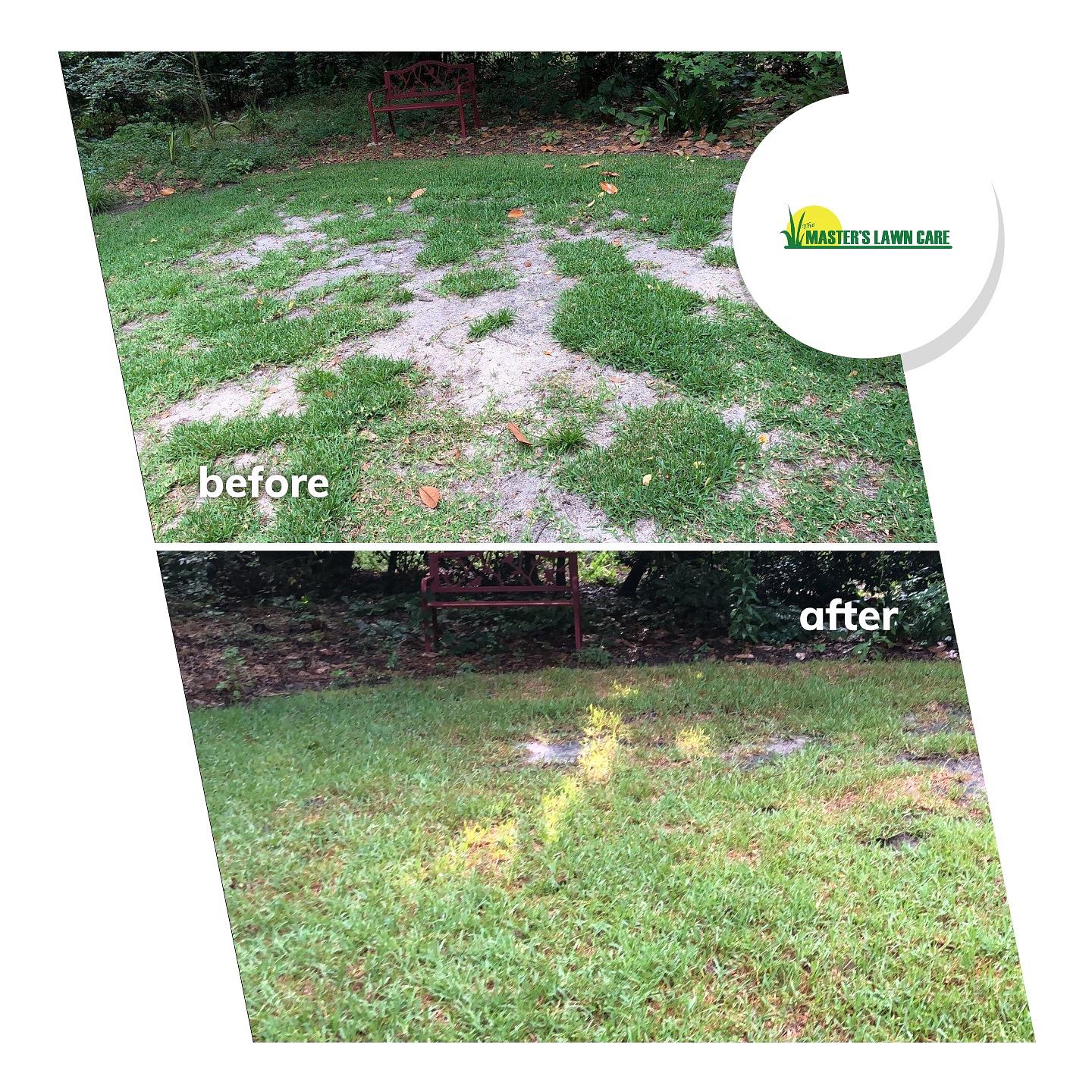Before And After Fertilizing Lawn