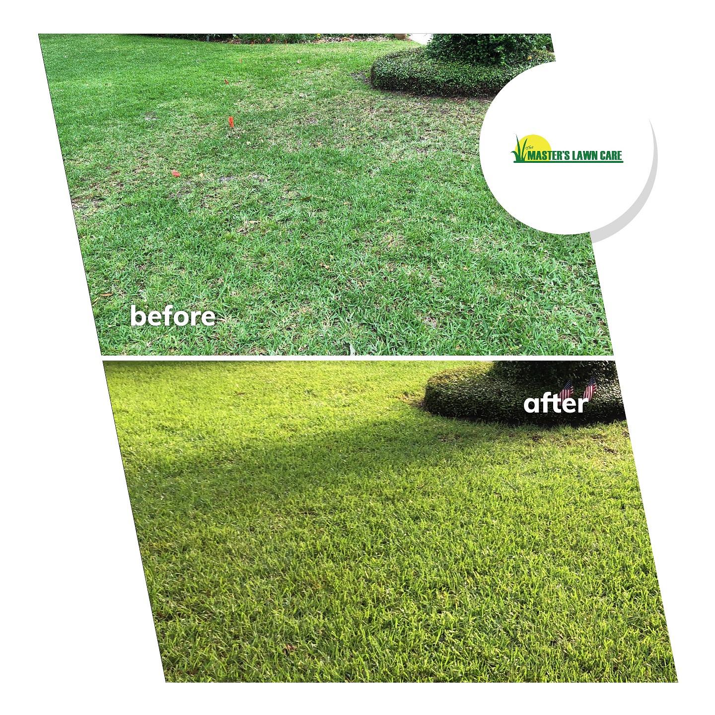 9 Weeks Progress on Lawn Nutrition Program The Masters Lawn Care