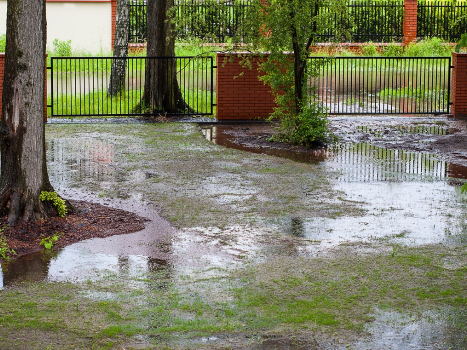 Poor Gainesville lawn drainage