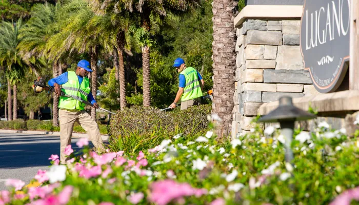 Nocatee Landscape Service in action