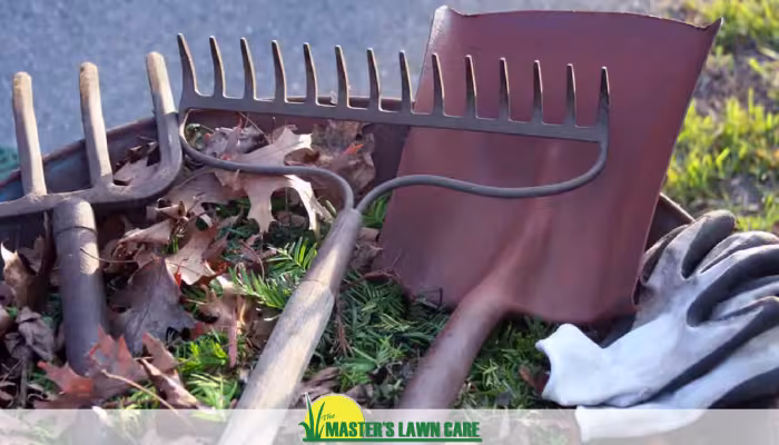 lawn care tools