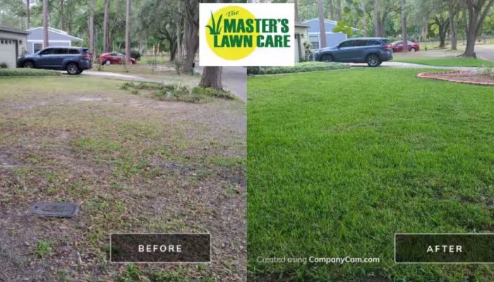 before and after sand to grass