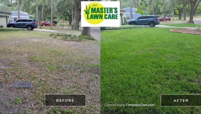 before and after sand to grass