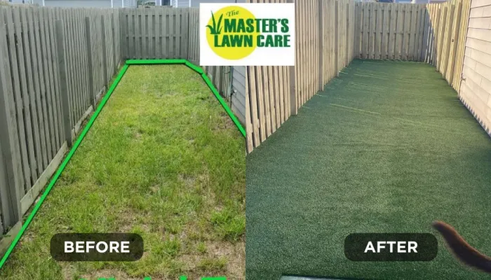 before and after Backyard Renovation