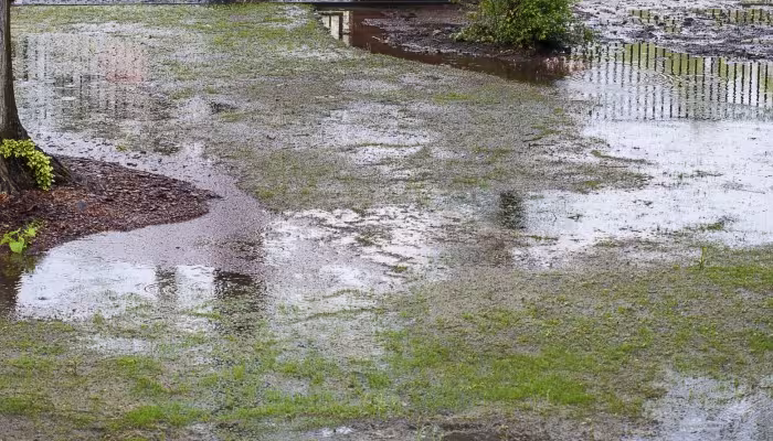 lawn drainage problem
