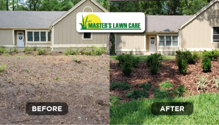 landscape renovation before and after