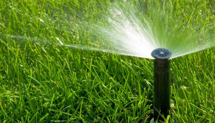 sprinkler head watering lawn