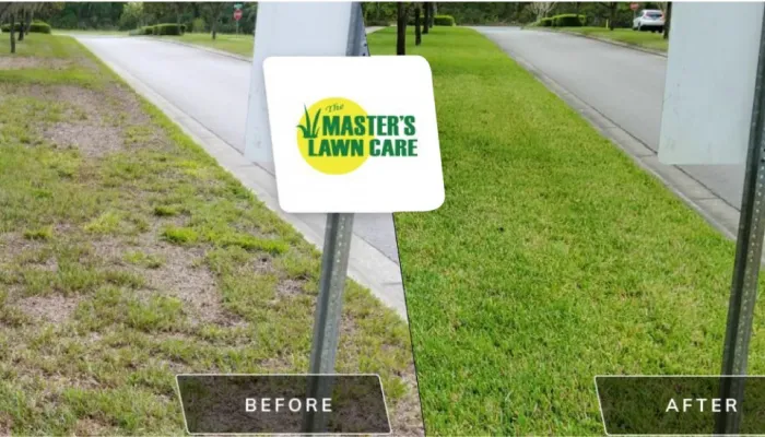 lawn health renovation before and after