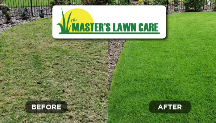 lawn health renovation before and after