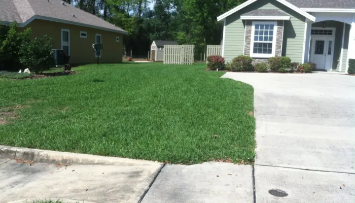 4 Lawn Care Services to Consider This Year in the Silverleaf and World Golf Village, FL Areas