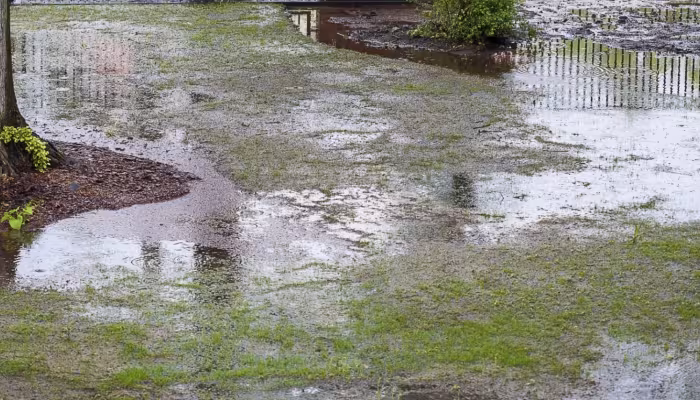 Drainage in Ponte Vedra Beach, Palm Valley, St. Augustine, Nocatee FL