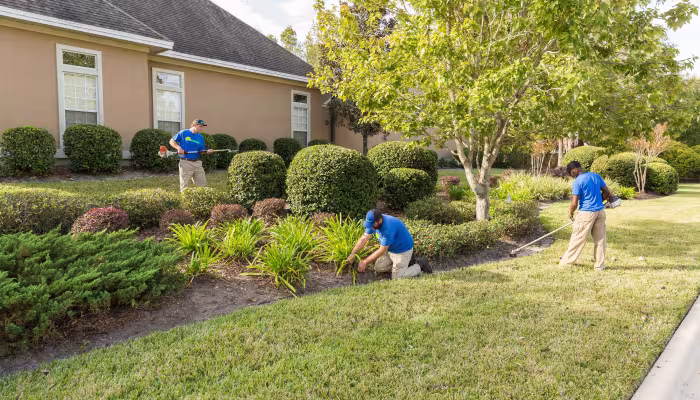 The Importance of a Regular Lawn Care Routine in the World Golf Village and St. Augustine, FL Areas