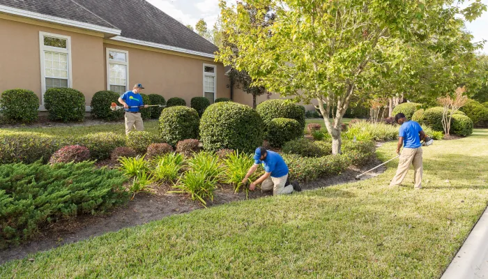 The Importance of a Regular Lawn Care Routine in the World Golf Village and St. Augustine, FL Areas