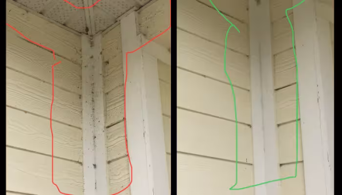 The Top Signs That You Need Pest Control Services in the Jonesville and Gainesville, FL Areas