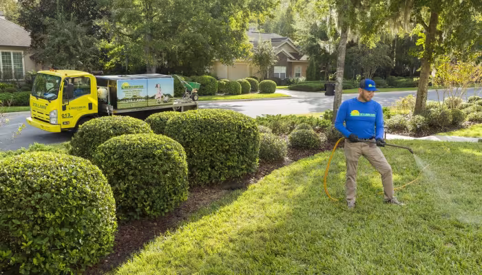 Weed control in Gainesville, Alachua, High Springs, Jonesville, Newberry FL