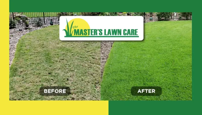 before and after lawn turnaround