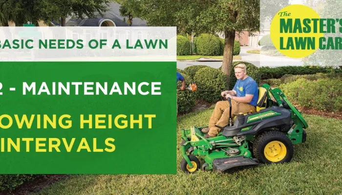 lawn maintenance proper mowing height and intervals