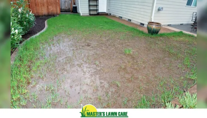 drainage issues in landscape