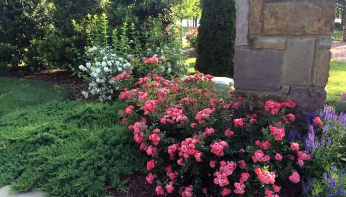 Find a Lawn Service Near Me That Provides the Services Needed for a Better Landscape in the St. Augustine, FL Area