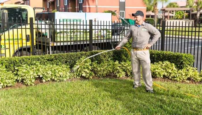 Protect Your Space With Expert Pest Control in the Gainesville and Alachua, FL Areas