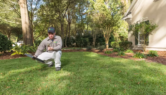 The Perfect Partnership: Combine Expert Landscape Design With Lawn Service Near Me in the High Springs, FL Area