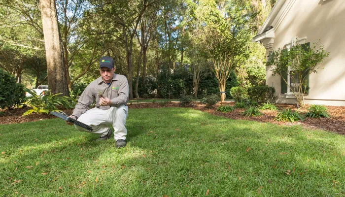 The Perfect Partnership: Combine Expert Landscape Design With Lawn Service Near Me in the High Springs, FL Area