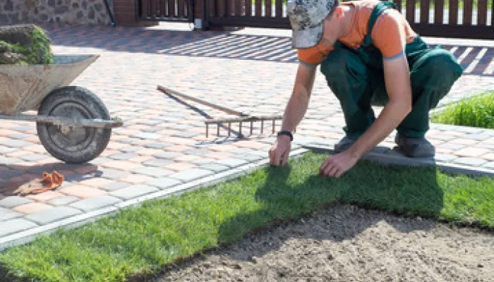 Enjoy a Vibrant Outdoor Space With a Creative Landscape Design and a Skilled Lawn Care Team in the High Springs, FL Area