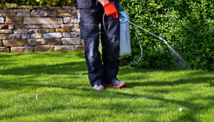 Protect Outdoor Spaces With Reliable Pest Control and Lawn Service Near Me in the Gainesville, FL Area