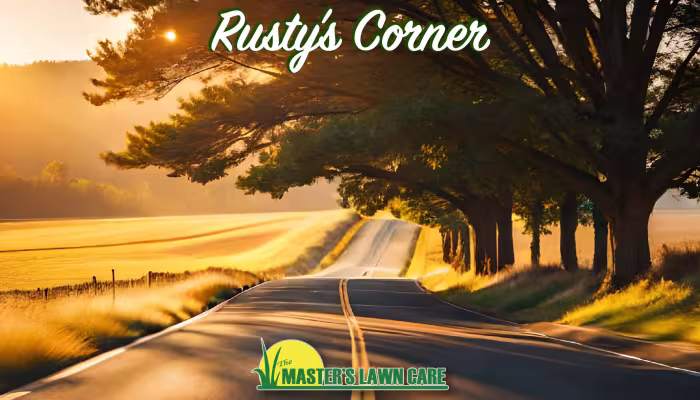 sunrise on a country road