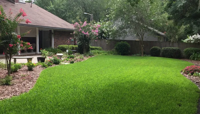 Do You Know the Top Benefits of 'Lawn Service Near Me' in Nocatee and High Springs, FL? 