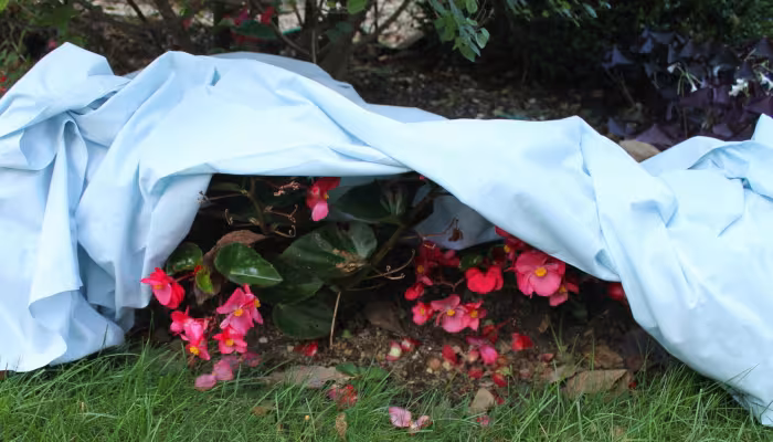 Frost covering for plants