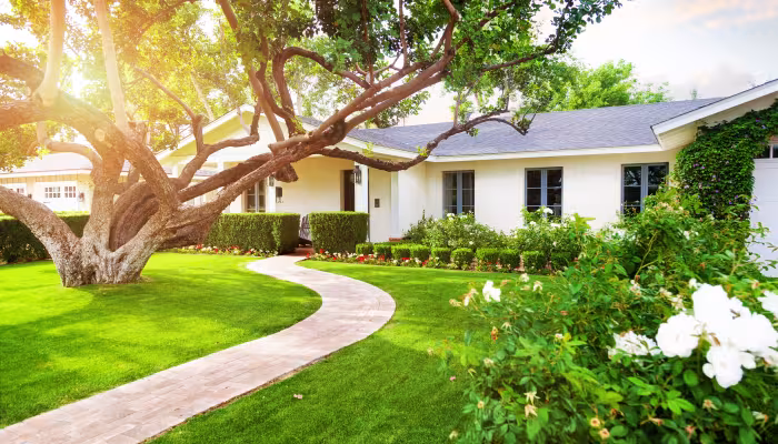Elevate Your St. Augustine and Ponte Vedra Beach Home with Custom Landscape Design	
