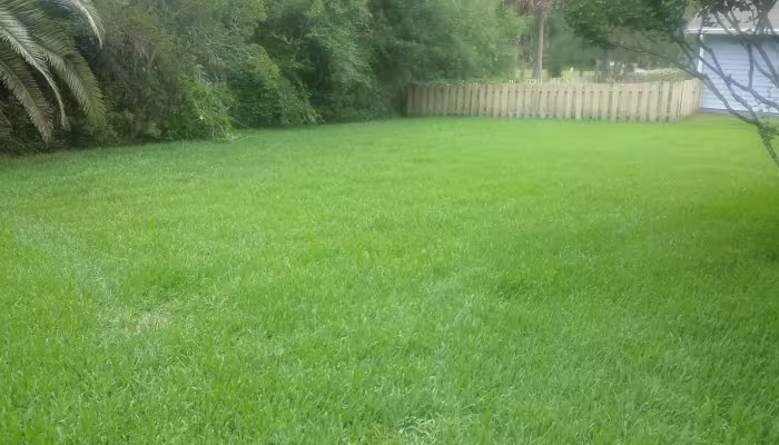 Discover 'Lawn Service Near Me' for Luxurious Lawns in World Golf Village and Nocatee, FL