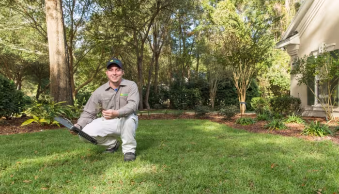 lawn service and lawn fertilization st. augustine fl