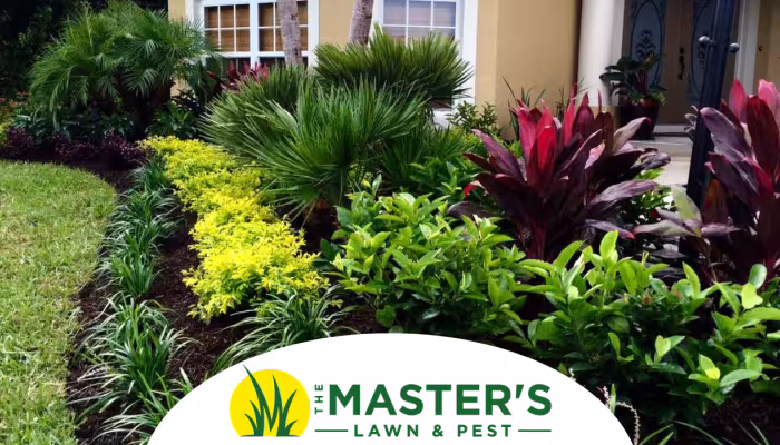 spring landscape plants in front of house
