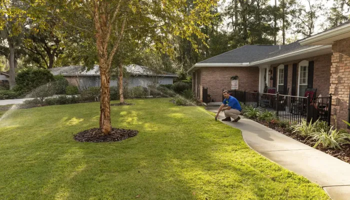 Keep Your Lawn Green and Beautiful With Professional Irrigation Solutions in Nocatee and Palm Valley, FL