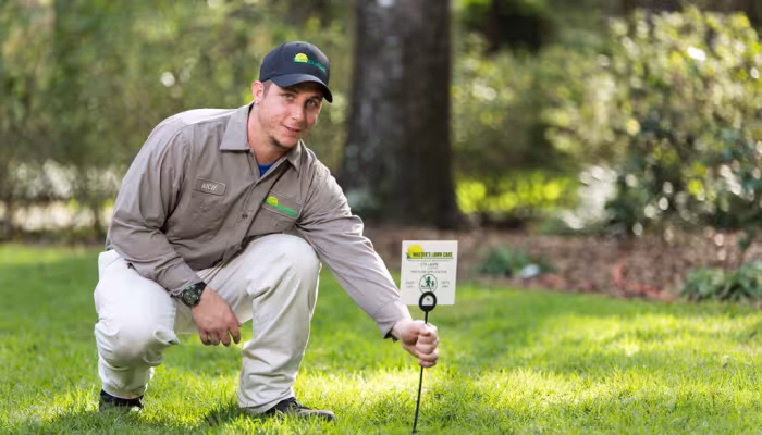 Achieve a Lush, Green Appearance With Expert Lawn Care and Lawn Fertilization Services in St. Augustine, FL