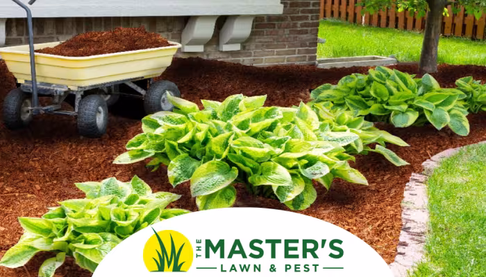 Gainesville Landscape Mulch 