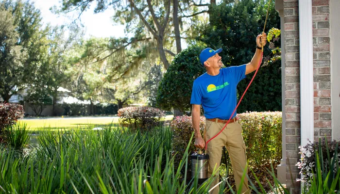 Effective Mosquito Control for Your Nocatee or Ponte Vedra Beach, FL Outdoor Areas