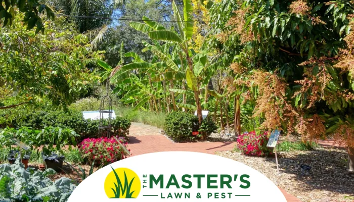  Discover the magic of Florida-Friendly Landscaping in Nocatee – a lifestyle choice that conserves water, protects ecosystems, and creates stunning landscapes!