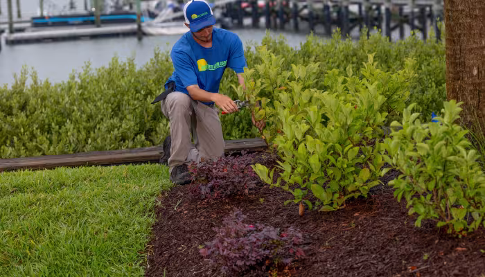 lawn service st. augustine fl