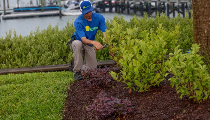 lawn service st. augustine fl