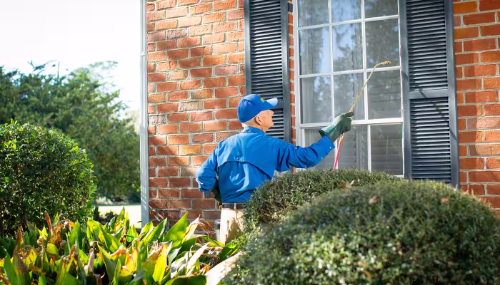 pest control st. augustine fl