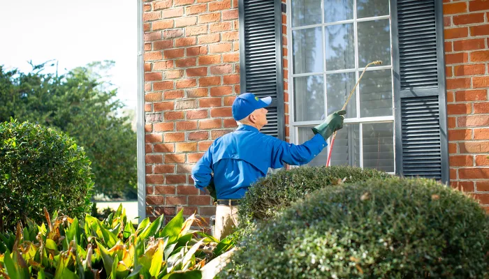 pest control st. augustine fl