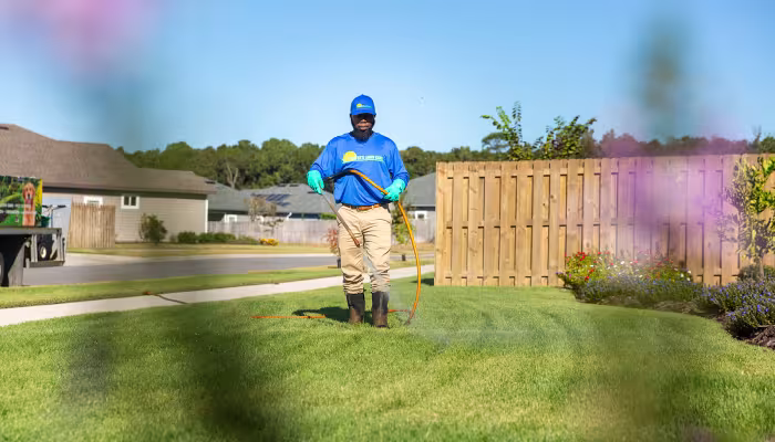 lawn service and lawn care gainesville fl