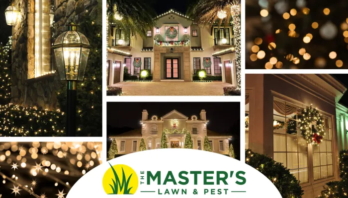 Holiday and Christmas Lighting North Florida The Masters Lawn and Pest