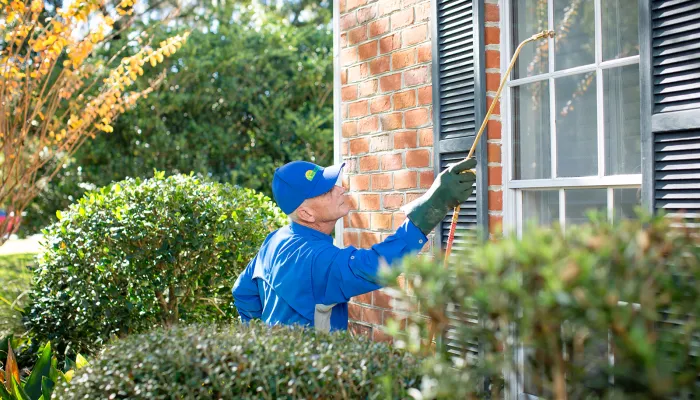 pest control alachua fl