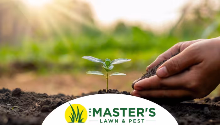 The Key to Healthy Soil